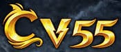 mmcv55.com Logo